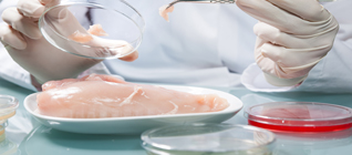 未標(biāo)題-1 副本(5).jpg